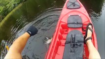 Lake George Predator Kayak Fishing