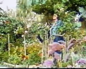 Nino Bravo - Un beso y una flor