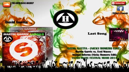 David Guetta - Martin Garrix vs. Evol Waves - Animal Inferno (Nicky Romero Edit) UMF 2014