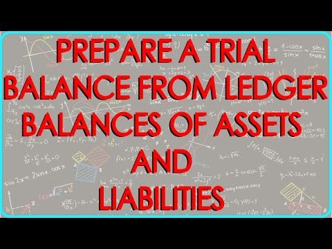 CA - CPT | Prepare a Trial Balance from Ledger balances of Assets and Liabilities only