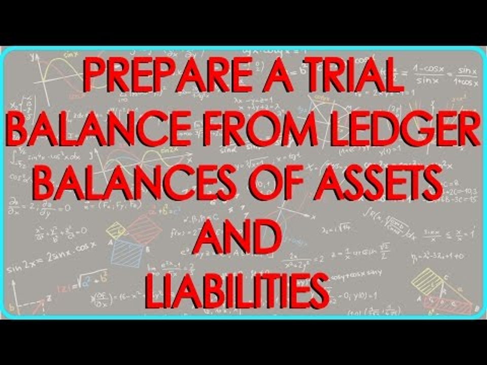 CA - CPT | Prepare a Trial Balance from Ledger balances of Assets and Liabilities only