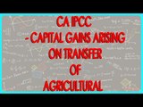 CA IPCC - Exemption from capital gains arising on transfer of Agricultural Land