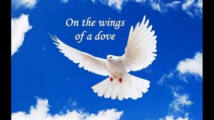 ON THE WINGS OF A  DOVE