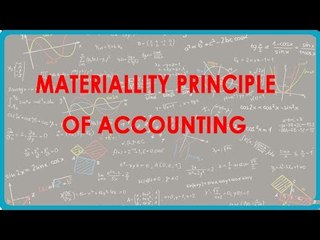 1175. Materiallity Principle of Accounting