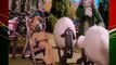 كرتون شون ذا شيب shaun the sheep مدبلج 2015 عربي HD كامل