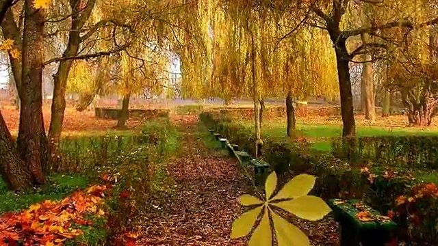 JESIEŃ IDZIE PRZEZ PARK Czerwone Gitary