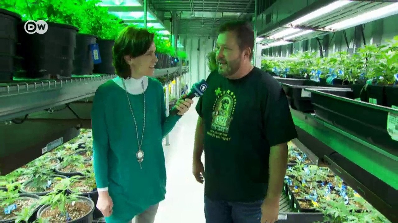 Consumo de maconha no Colorado após a liberação