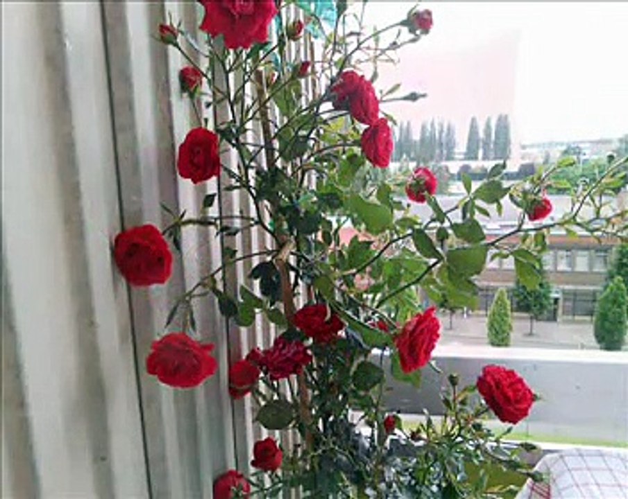 Romantique avec toi interpretation personnelle°