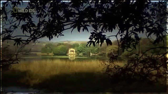 Documentary Animals - Animals Documentary National Geographic - Wild Animals Documentary 2015