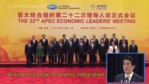 Prime Minister Abe attends the APEC, ASEAN and G20 summits