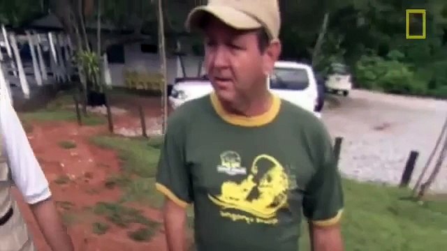 Animals Documentary Cocaine Hippos Pablo Escobar and his Zoo A Special by NATIONAL GEOGRAPHIC