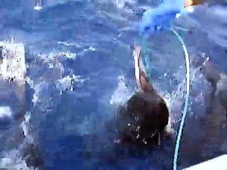 Here fishy, fishy, fishy