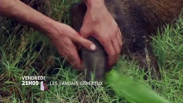 Les Landais genereux