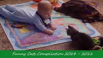 Funny Videos - Funny Cats - Funny Pranks - Funny Animals Videos-copypasteads.com