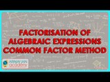 How to factorise Algebraic expressions by taking out common factors