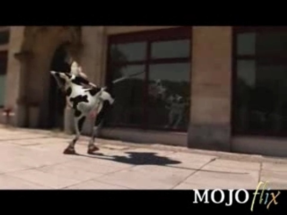 Vache folle (I like to moo)