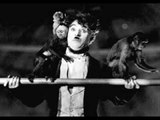 Charlie Chaplin All Fun At Circus | Funny Videos