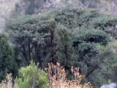 مناظر من السودة أبها - صيف 1429