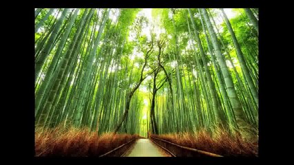 Most Amazing Photos of Art, Illusions, Nature