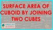 955.Surface area of cuboid by joining two cubes