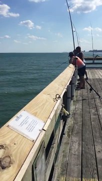 Big shark almost landed on Apache pier myrtle beach South Carolina