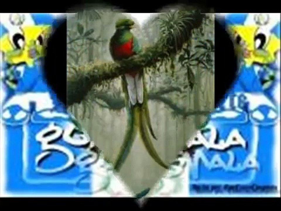 Marimba de Todos Santos Guatemala