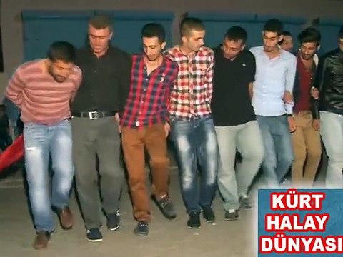 GÖRDÜĞÜM EN GÜZEL HALAY