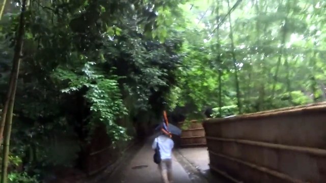 Walking through entire bamboo forest in Arashiyama, Kyoto, Japan