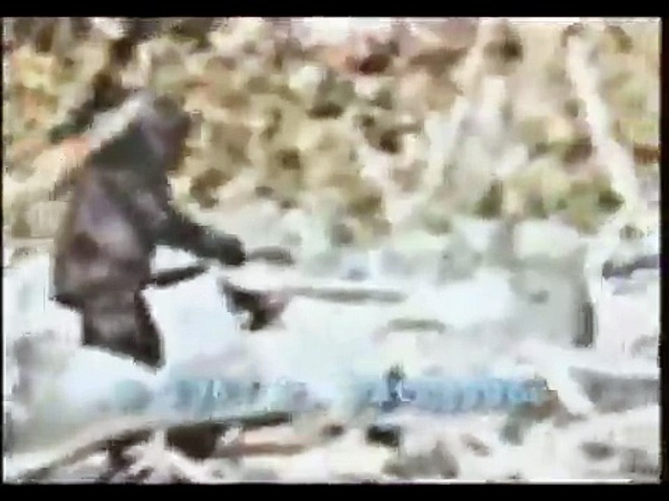 Bigfoot caught on tape (Patterson footage stabilized)