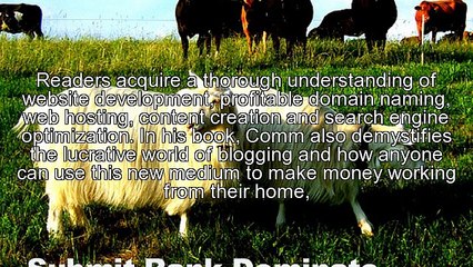 Few Online Money-Making Strategies