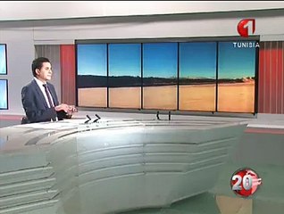 انطلاق إنجاز الجدار العازل بين تونس وليبيا بمساندة أمنية وعسكرية
