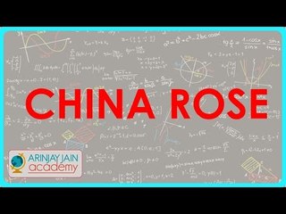 1289. Acid, Bases and Salt   China Rose