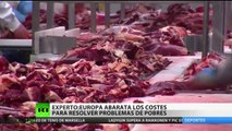 Europa utiliza el escándalo de la carne de caballo para ocultar otros problemas