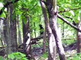 Creepy Figure in Tennessee Woods