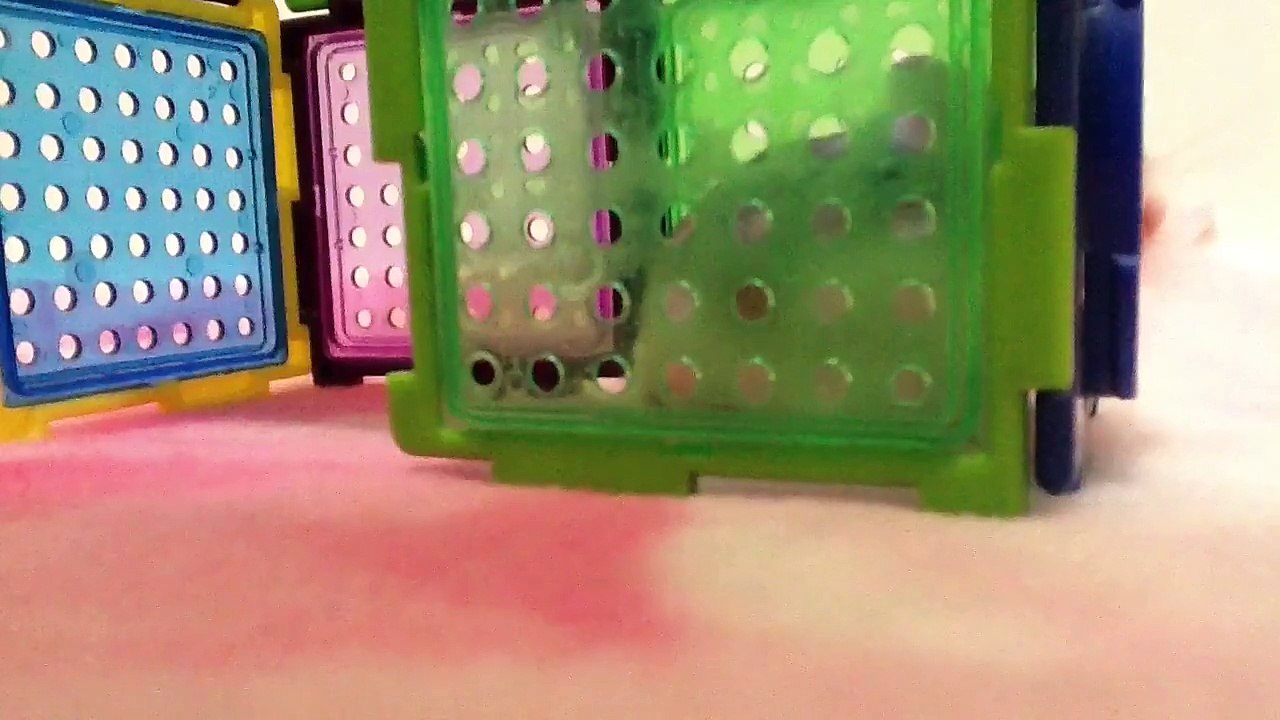 Robo Hamsters Playing