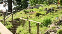 Naturerlebnis Kärnten: Naturpark Dobratsch - Kärnten - Lust am Leben Österreich