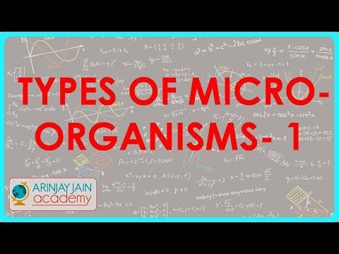 807.Biology - Types of microorganisms - Part I