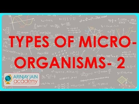 803.Biology Types of microorganisms Part II