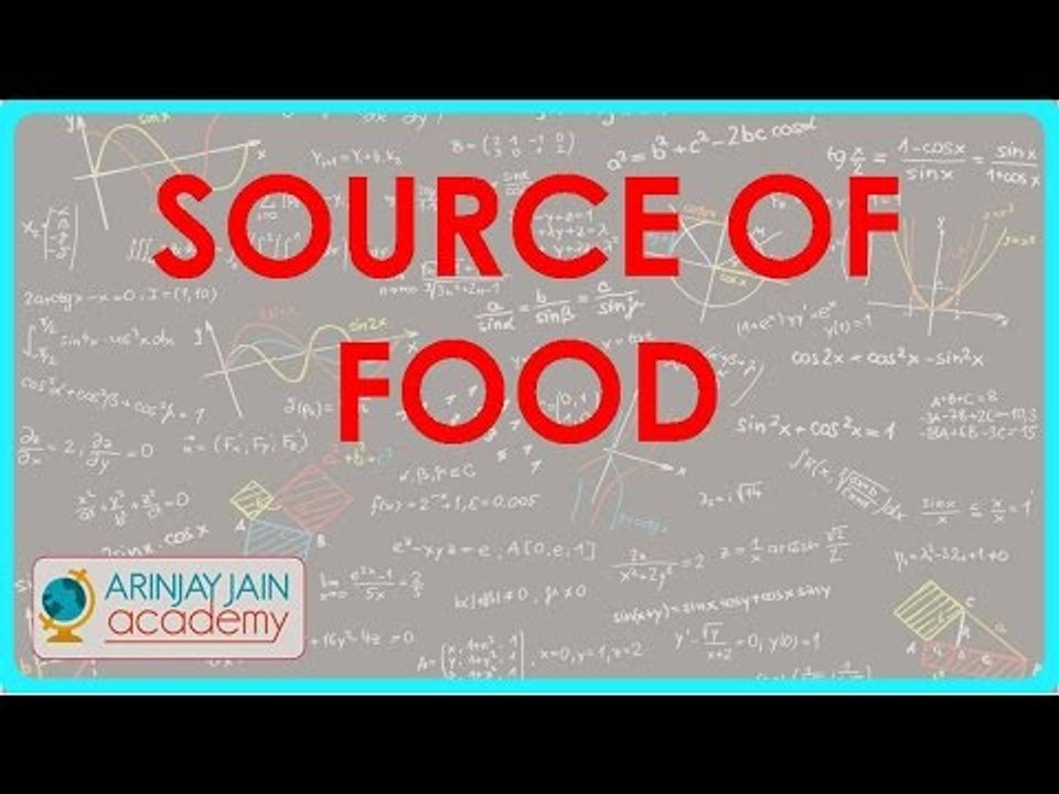 548.Class VI - CBSE, ICSE, NCERT -  Food - Source of Food