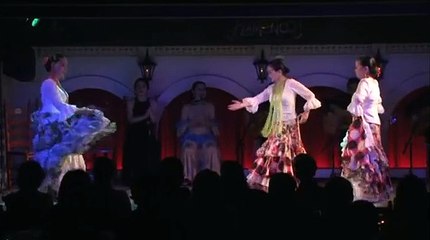 フラメンコ　ロス・ボラーチョス　バンベーラ 　2014エル・フラメンコ