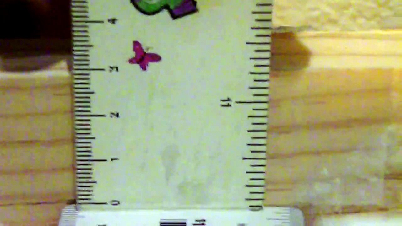 scio 008.mov