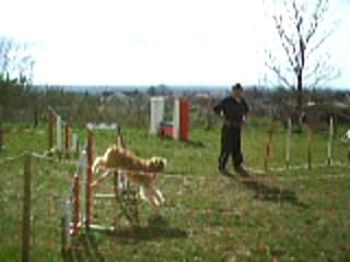 agility 31/03/07 mov 3