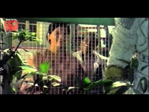 Aa Ja Pyare aa Jao - Umang - 1970 - Kishore Kumar - Mahendra Kapoor - Subhash Ghai