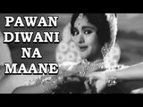 Pawan Diwani Na Maane - Dr. Vidya [ 1962 ] - Vyjayanthimala - Lata Mangeshkar