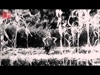 All Songs of Dr. Vidya | Lata Mangeshkar, Mohammad Rafi