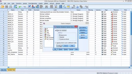 Principal Component Analysis on SPSS