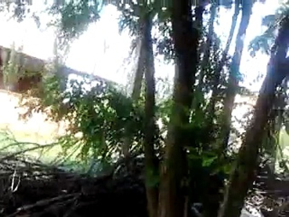 aksaray malaklı sı  14 aylık 90 kg 88 cm