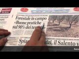 Rassegna Stampa 13 Giugno 2015 a cura della Redazione di Leccenews24