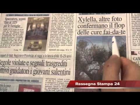 Decreto Legge sulle pensioni: rimborsi sotto forma di bonus, Rassegna Stampa 19 Maggio 2015