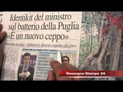 Caso Xylella, 26 aziende al Tar. Nel mirino il piano Silletti, Rassegna Stampa 2 Aprile 2015